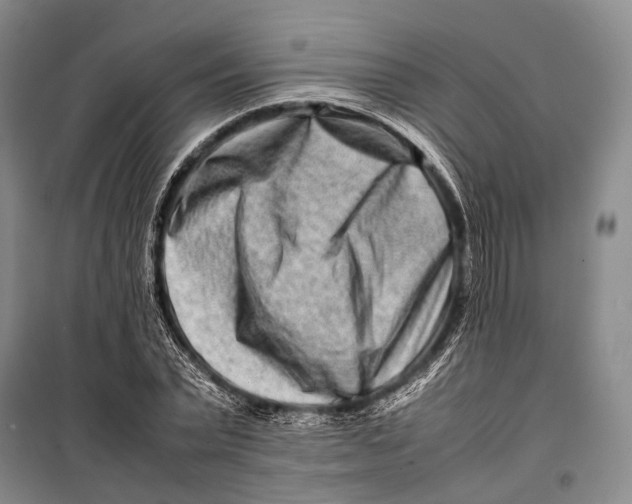 X0000098220783200805151316