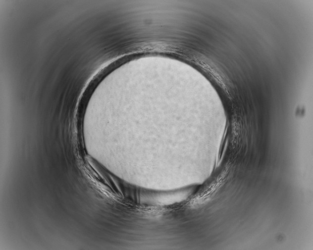 X0000098220784200805151316