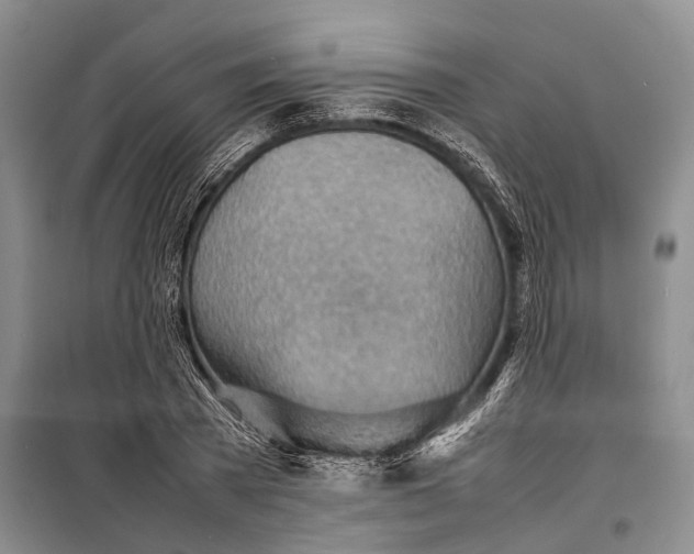 X0000098220785200805151316