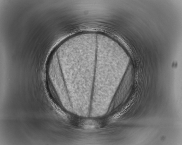 X0000098220787200805151316