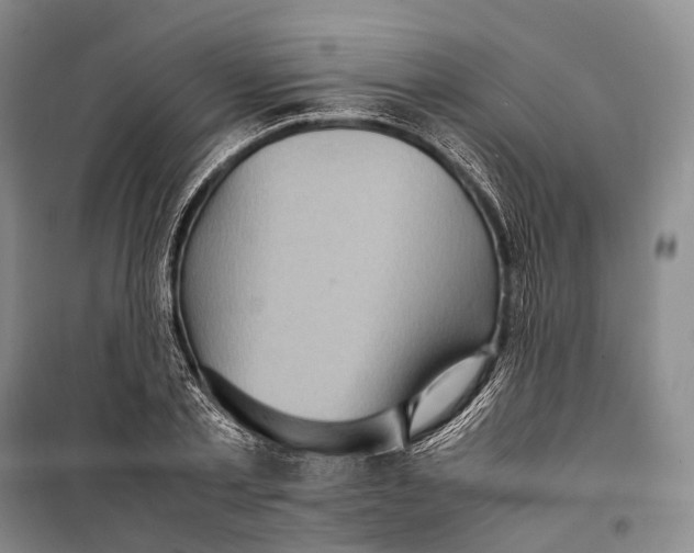 X0000098220789200805151316