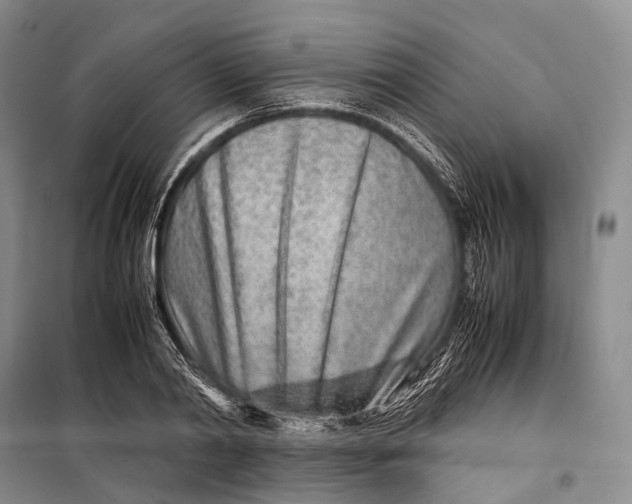 X0000098220790200805151316