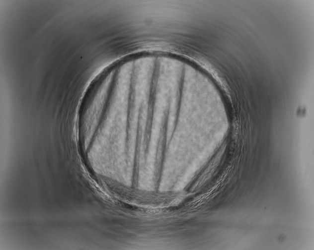 X0000098220791200805151316