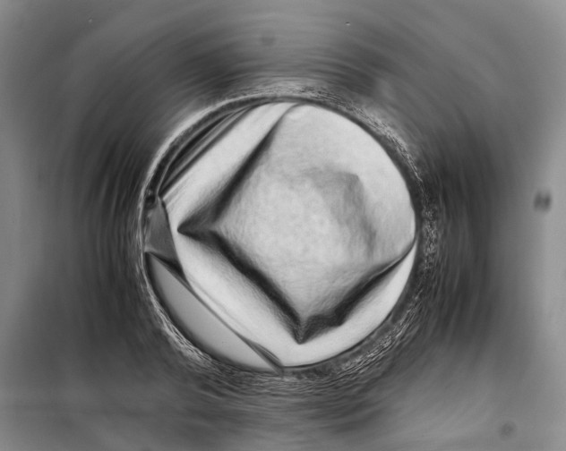 X0000098220792200805151316