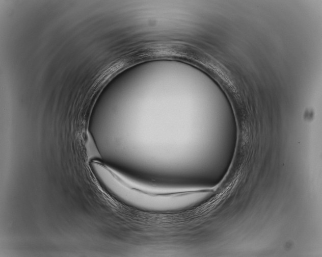 X0000098220793200805151316