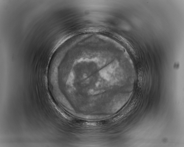 X0000098220794200805151316