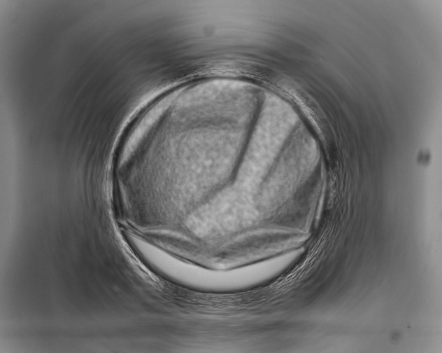 X0000098220795200805151316