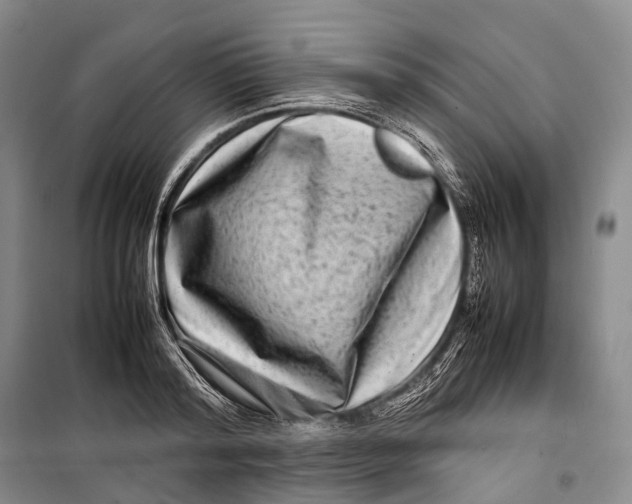 X0000098220796200805151316