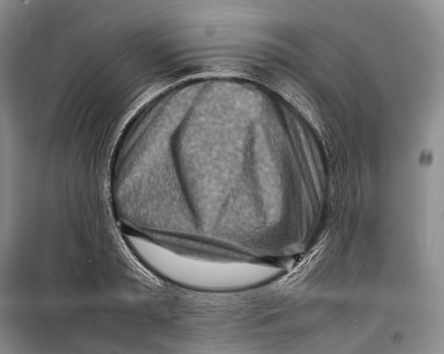 X0000098220797200805151316