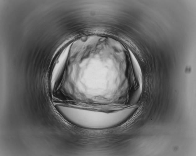 X0000098220798200805151316