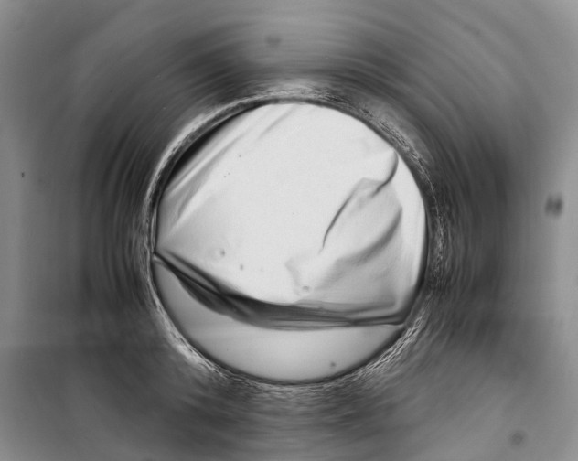 X0000098220800200805151316