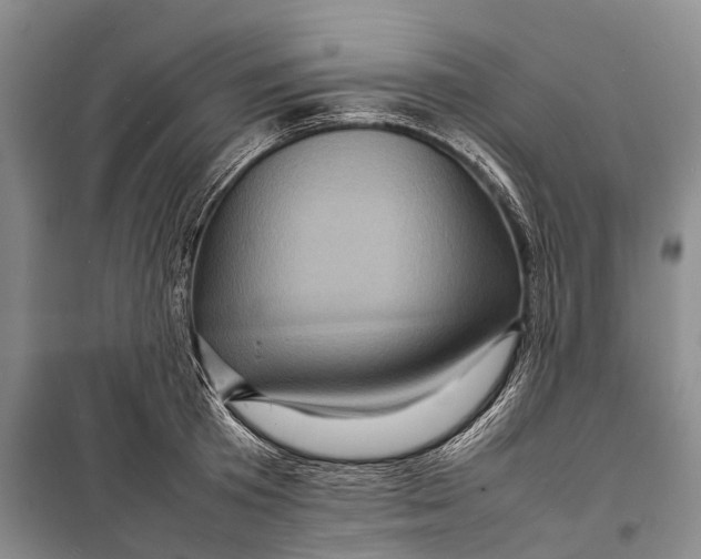 X0000098220801200805151316