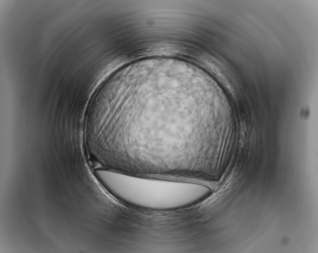 X0000098220802200805151316