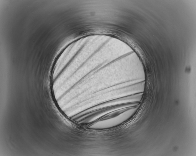 X0000098220803200805151316