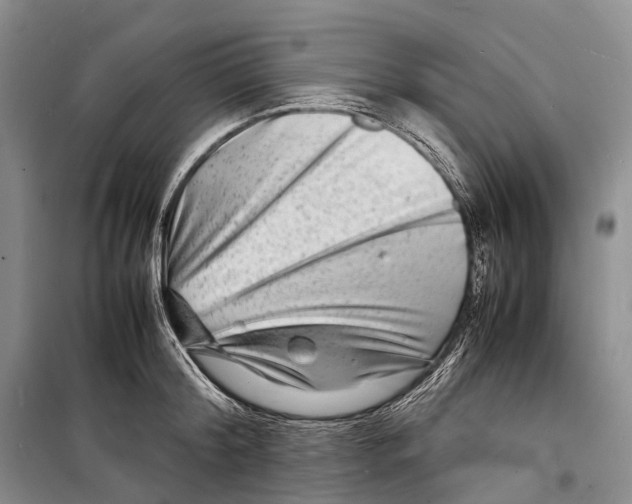 X0000098220804200805151316