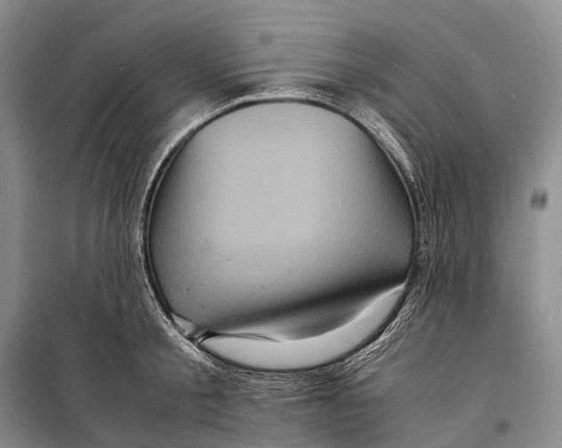 X0000098220805200805151316