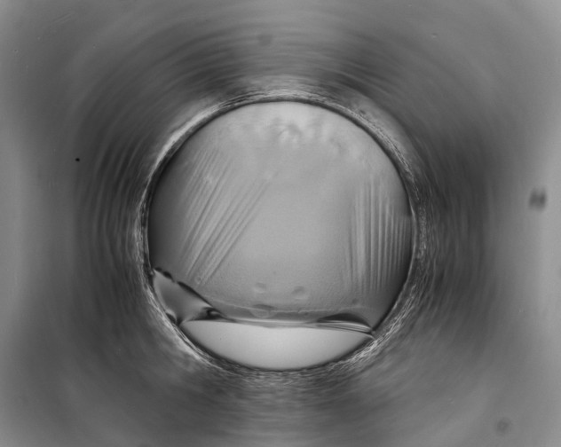 X0000098220806200805151316