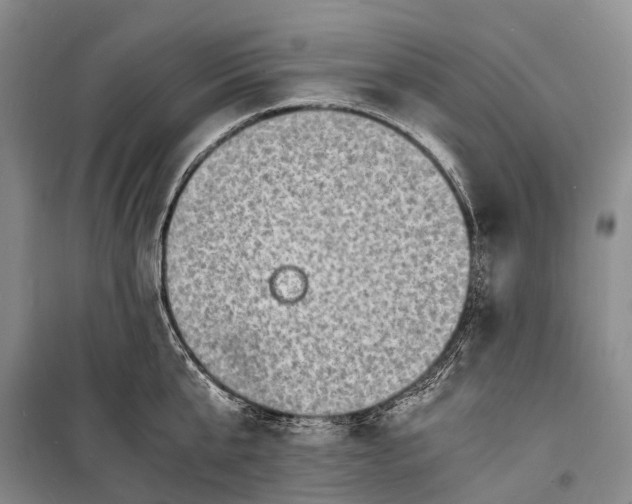 X0000098220807200805151316