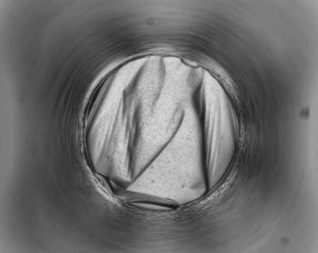 X0000098220808200805151316