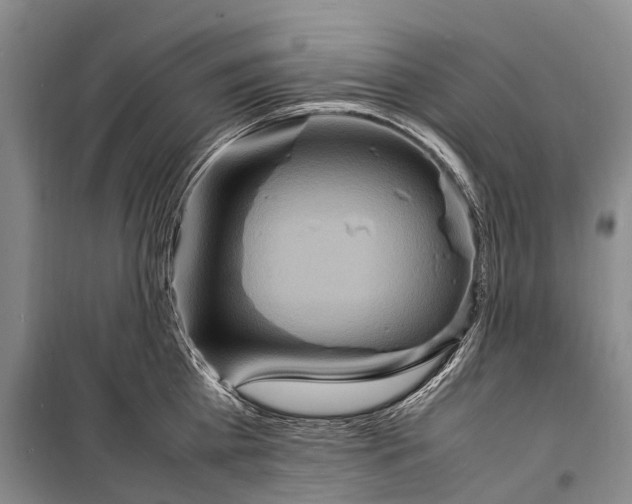 X0000098220809200805151316