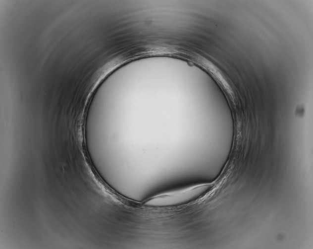 X0000098220810200805151316