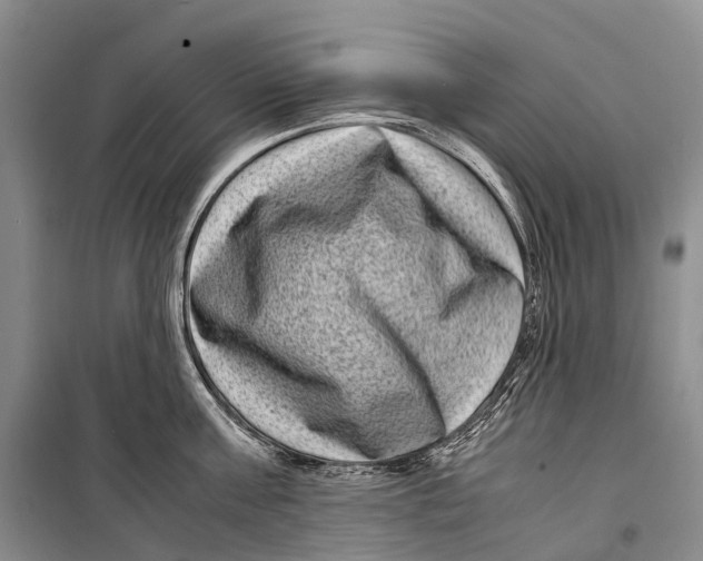 X0000098220811200805151316