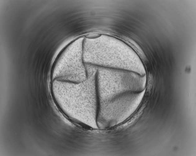 X0000098220812200805151316