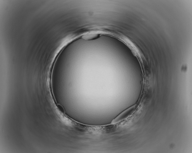 X0000098220813200805151316