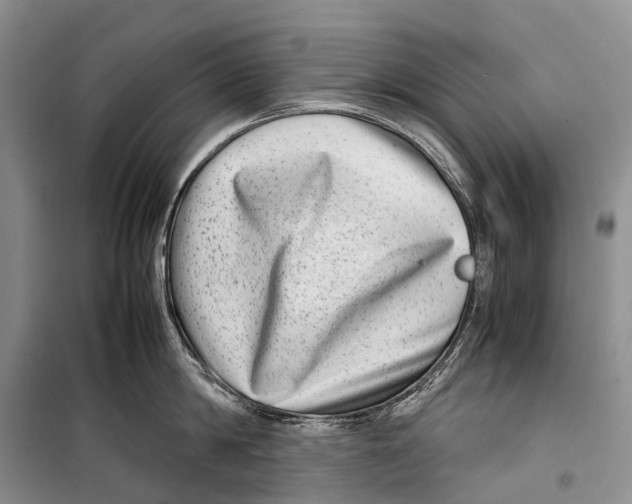 X0000098220814200805151316