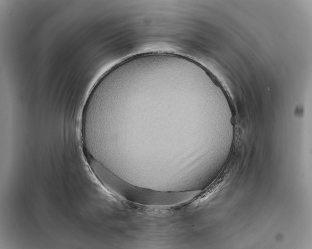 X0000098220815200805151316