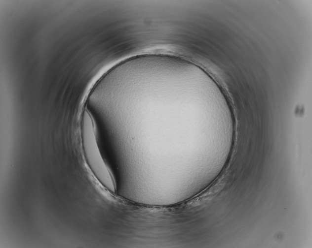 X0000098220816200805151316