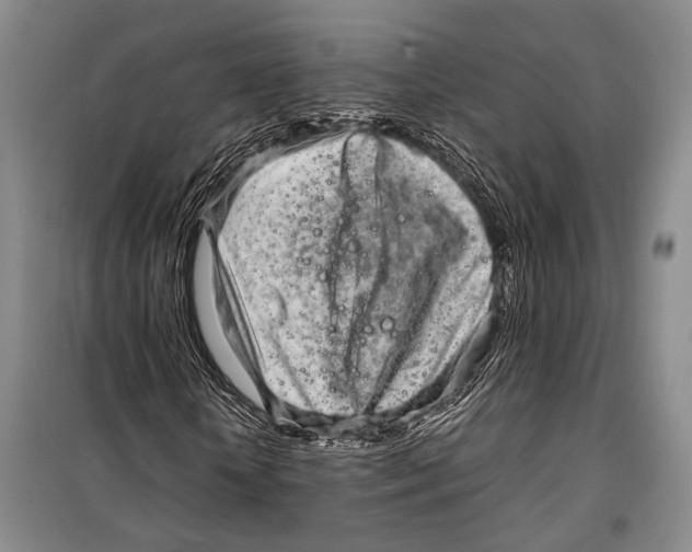 X0000098220818200805151315