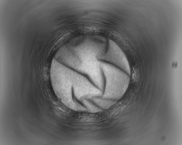 X0000098220819200805151315