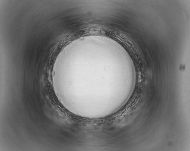 X0000098220820200805151315