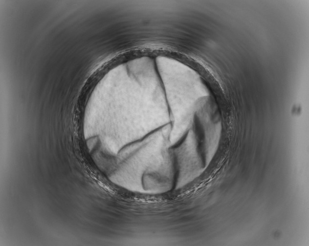 X0000098220823200805151315