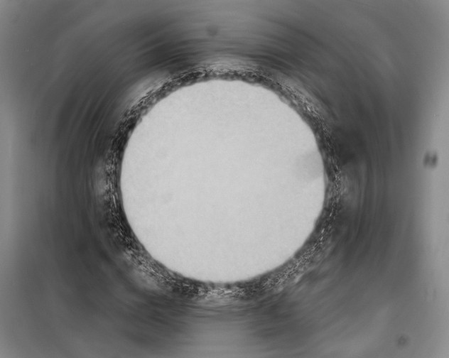 X0000098220824200805151315