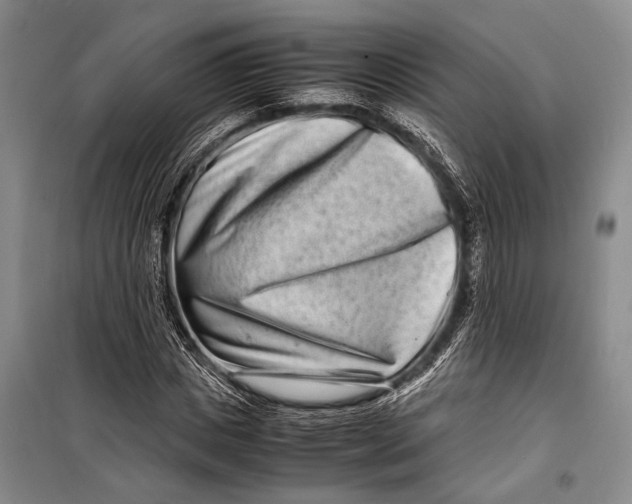 X0000098220825200805151315