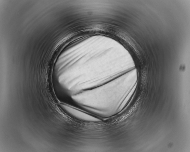 X0000098220826200805151315