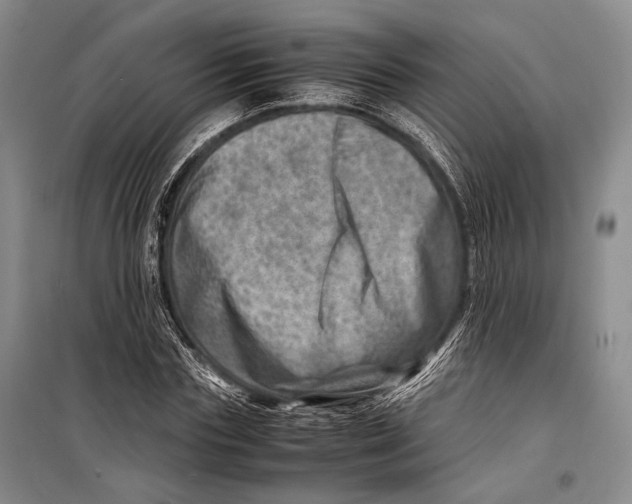 X0000098220827200805151315