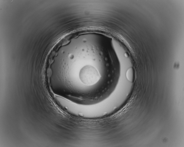 X0000098220828200805151315