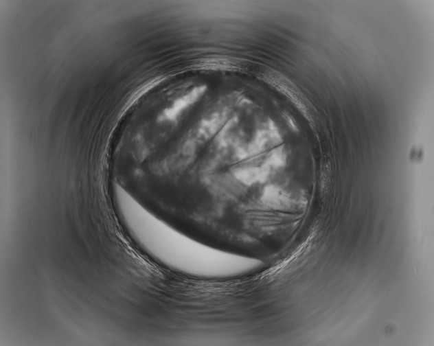 X0000098220829200805151315