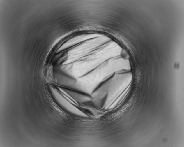 X0000098220830200805151315