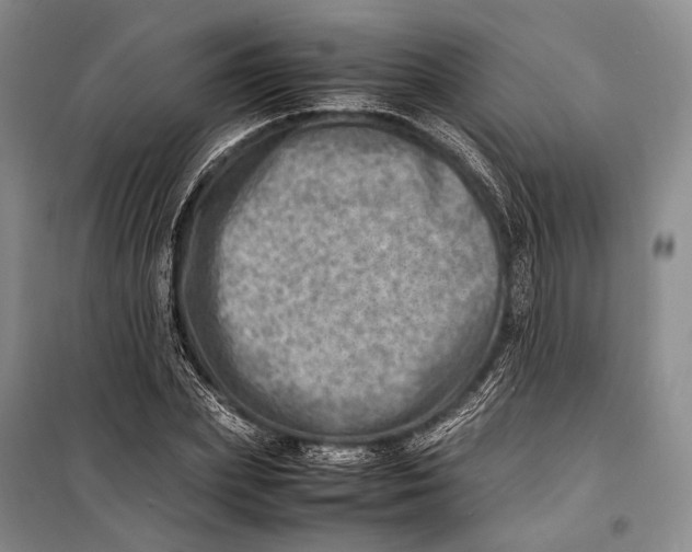 X0000098220831200805151315