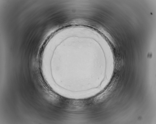 X0000098220832200805151315