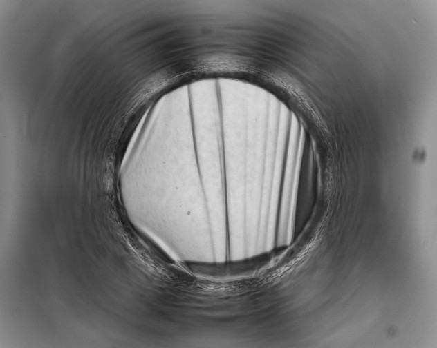 X0000098220833200805151315