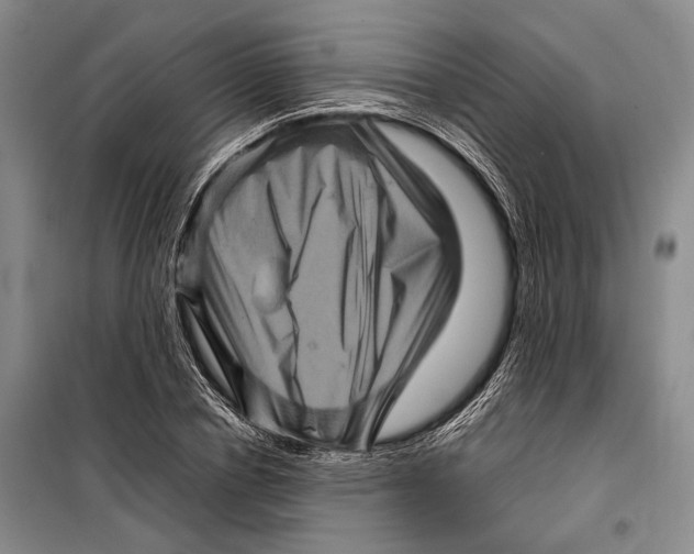 X0000098220834200805151315