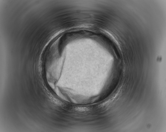 X0000098220835200805151315