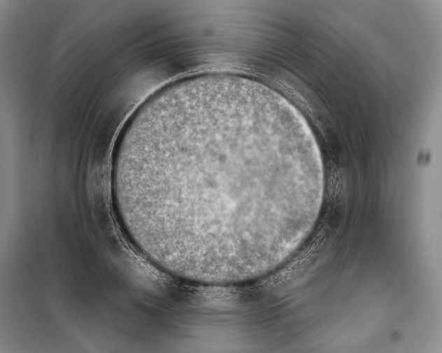 X0000098220836200805151315