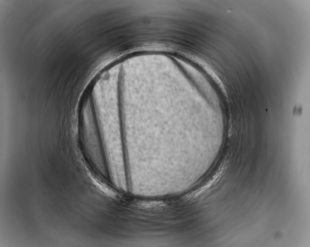 X0000098220837200805151315