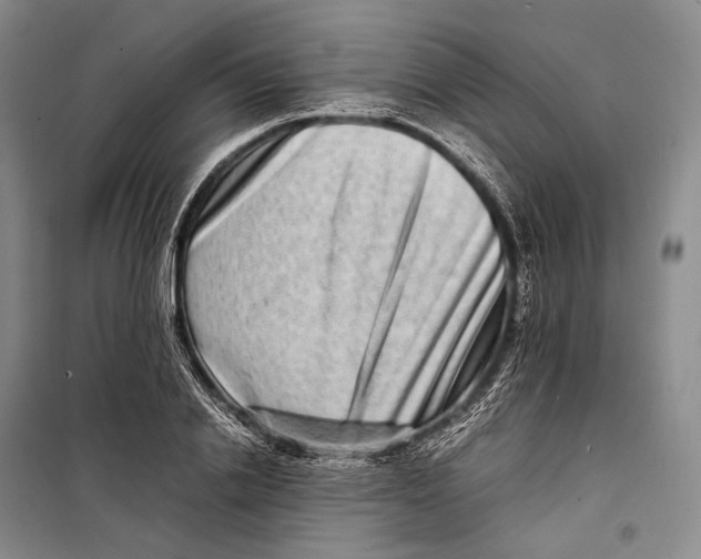 X0000098220838200805151315